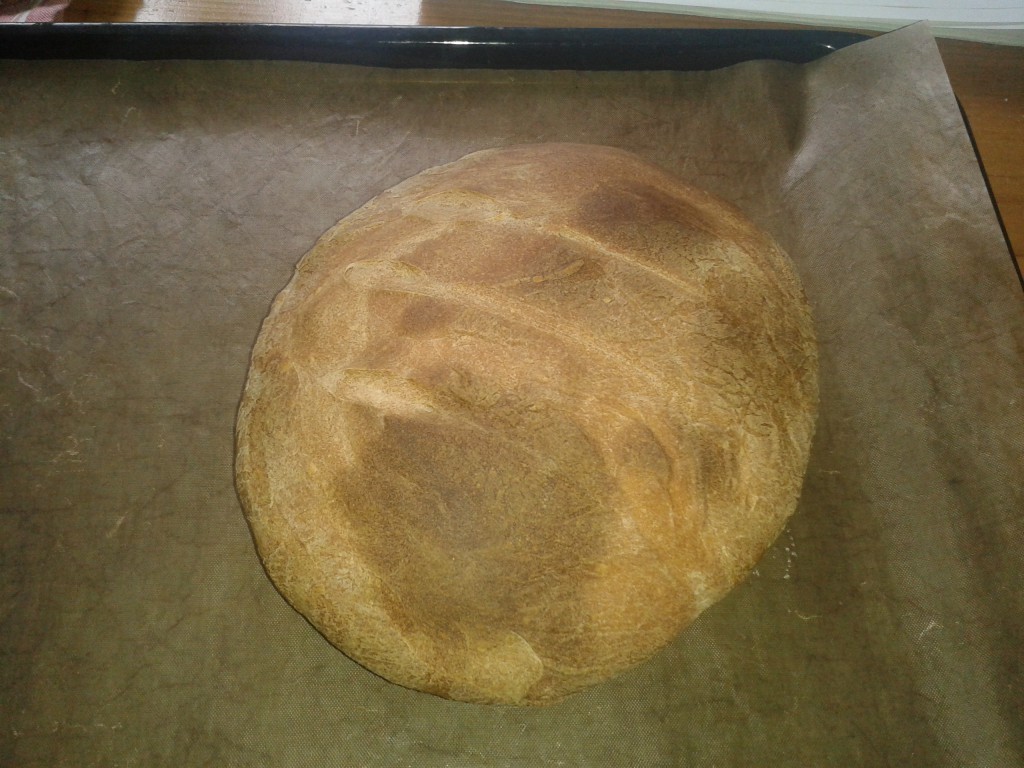 Shaun's first loaf