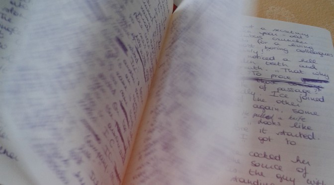 Moleskine